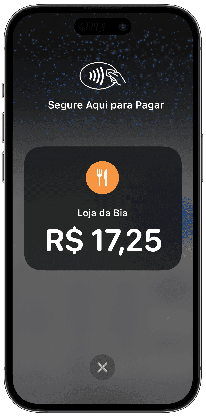 Aplicativo do Ton com valor de cobrança de R$17,25 para “Loja da Bia”. Com mensagem “Segure aqui para pagar”